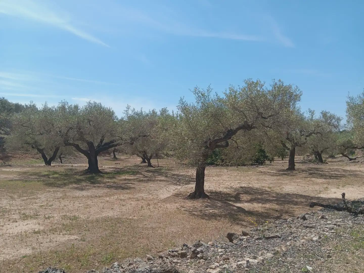 Building Plot for sale in Camarles - € 44,000 (Ref: 10024533)