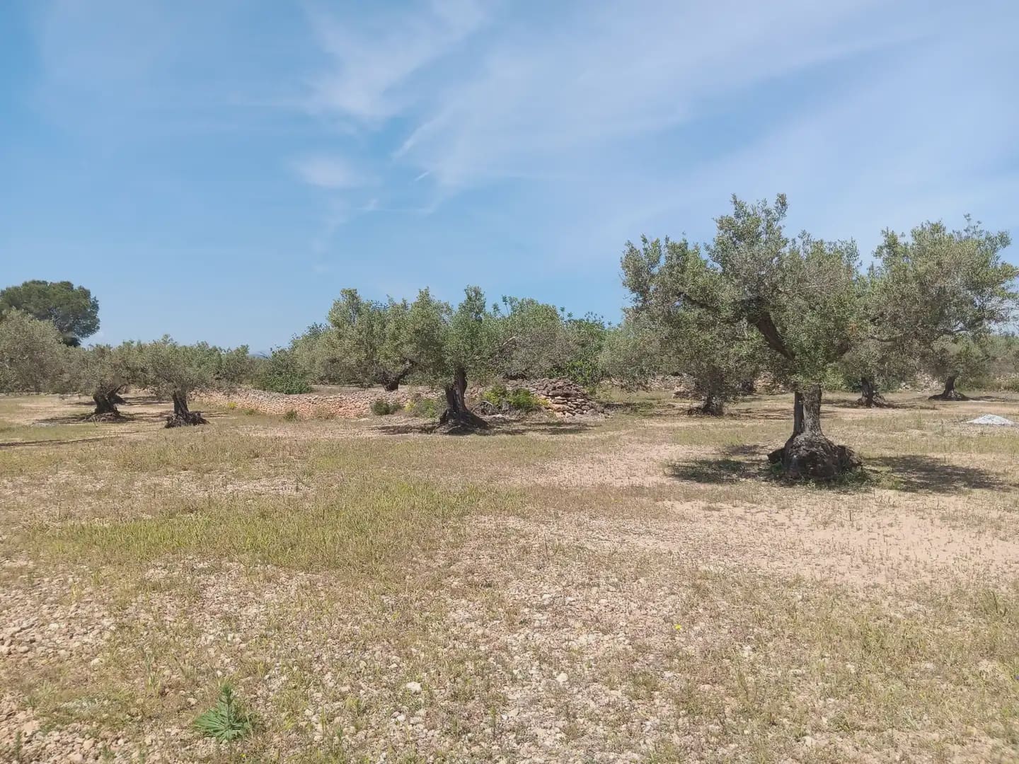 Building Plot for sale in Camarles - € 44,000 (Ref: 10024533)