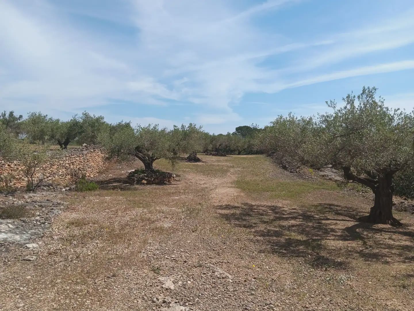 Building Plot for sale in Camarles - € 44,000 (Ref: 10024533)