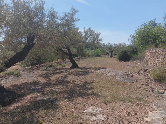 Building Plot for sale in Camarles - € 44,000 (Ref: 10024533)