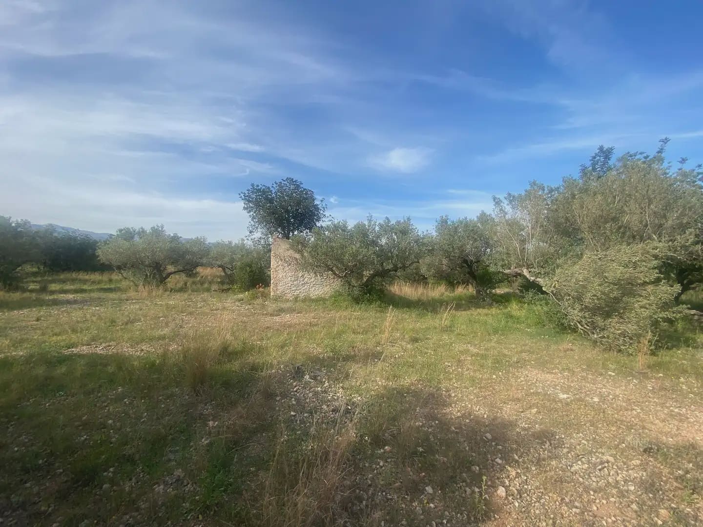 Building Plot for sale in Tortosa - € 25,000 (Ref: 10024534)