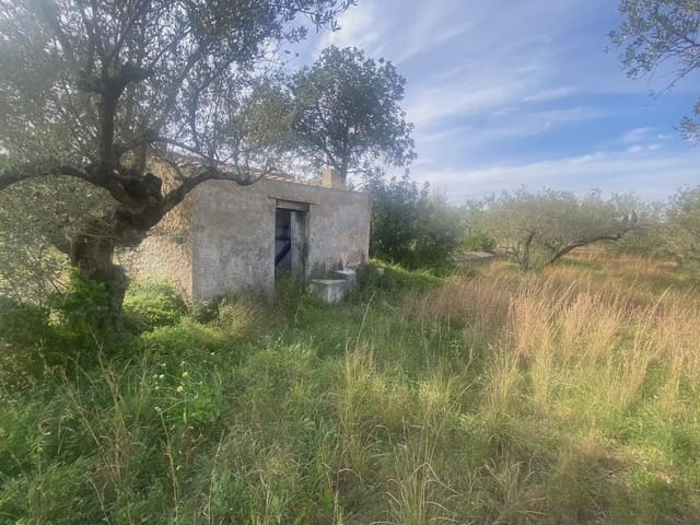 Building Plot for sale in Els Reguers, Tortosa - € 25,000 (Ref: 10024534)
