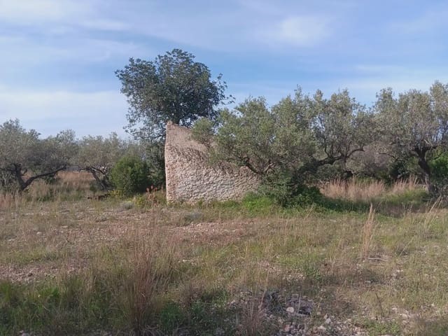 Building Plot for sale in Els Reguers, Tortosa - € 25,000 (Ref: 10024534)