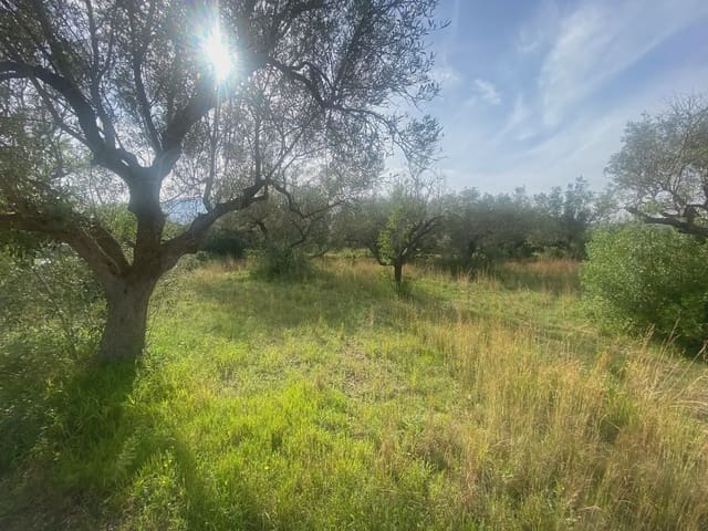 Building Plot for sale in Els Reguers, Tortosa - € 25,000 (Ref: 10024534)