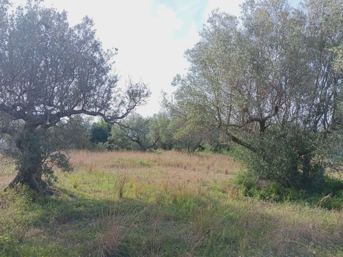 Building Plot for sale in Tortosa - € 25,000 (Ref: 10024534)