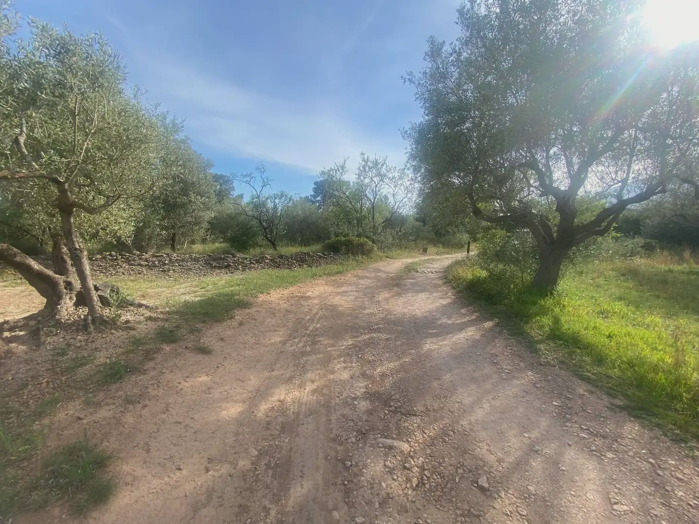 Building Plot for sale in Tortosa - € 25,000 (Ref: 10024534)