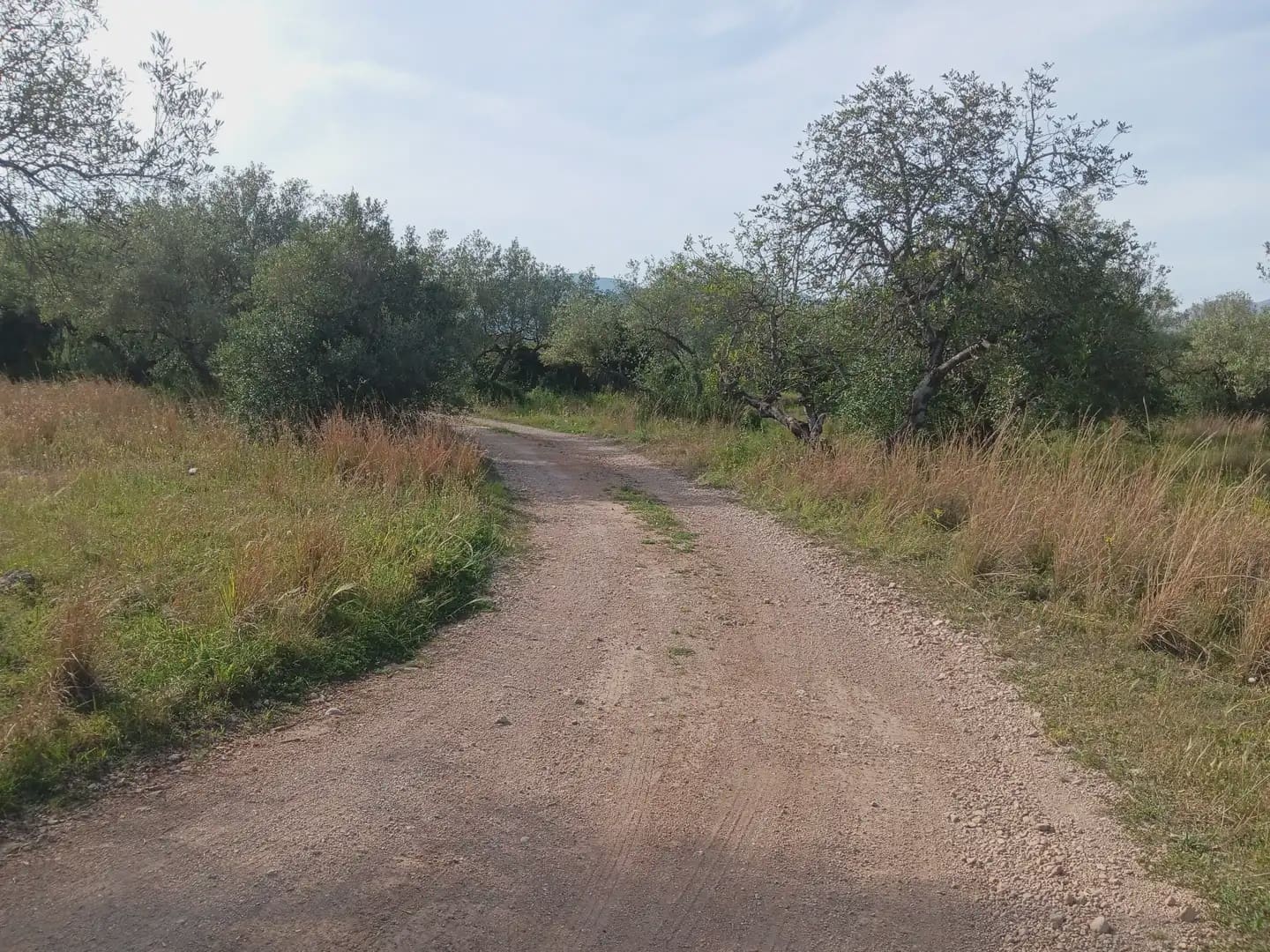 Building Plot for sale in Tortosa - € 25,000 (Ref: 10024534)