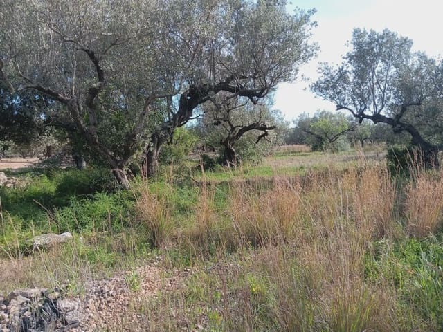 Building Plot for sale in Els Reguers, Tortosa - € 25,000 (Ref: 10024534)