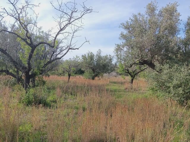 Building Plot for sale in Els Reguers, Tortosa - € 25,000 (Ref: 10024534)