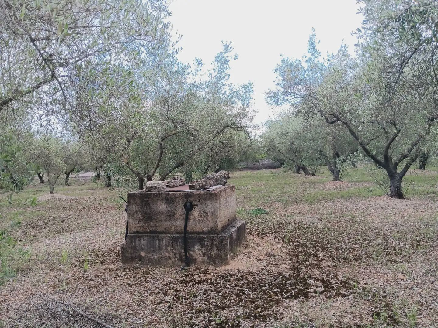 3 chambre Finca/Maison de Campagne à vendre à Tortosa avec garage - 249 000 € (Ref: 10024535)