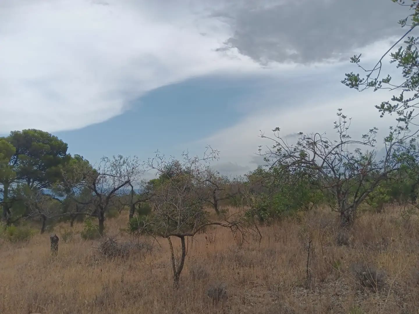 Terrain à Bâtir à vendre à Roquetes - 27 000 € (Ref: 10024537)