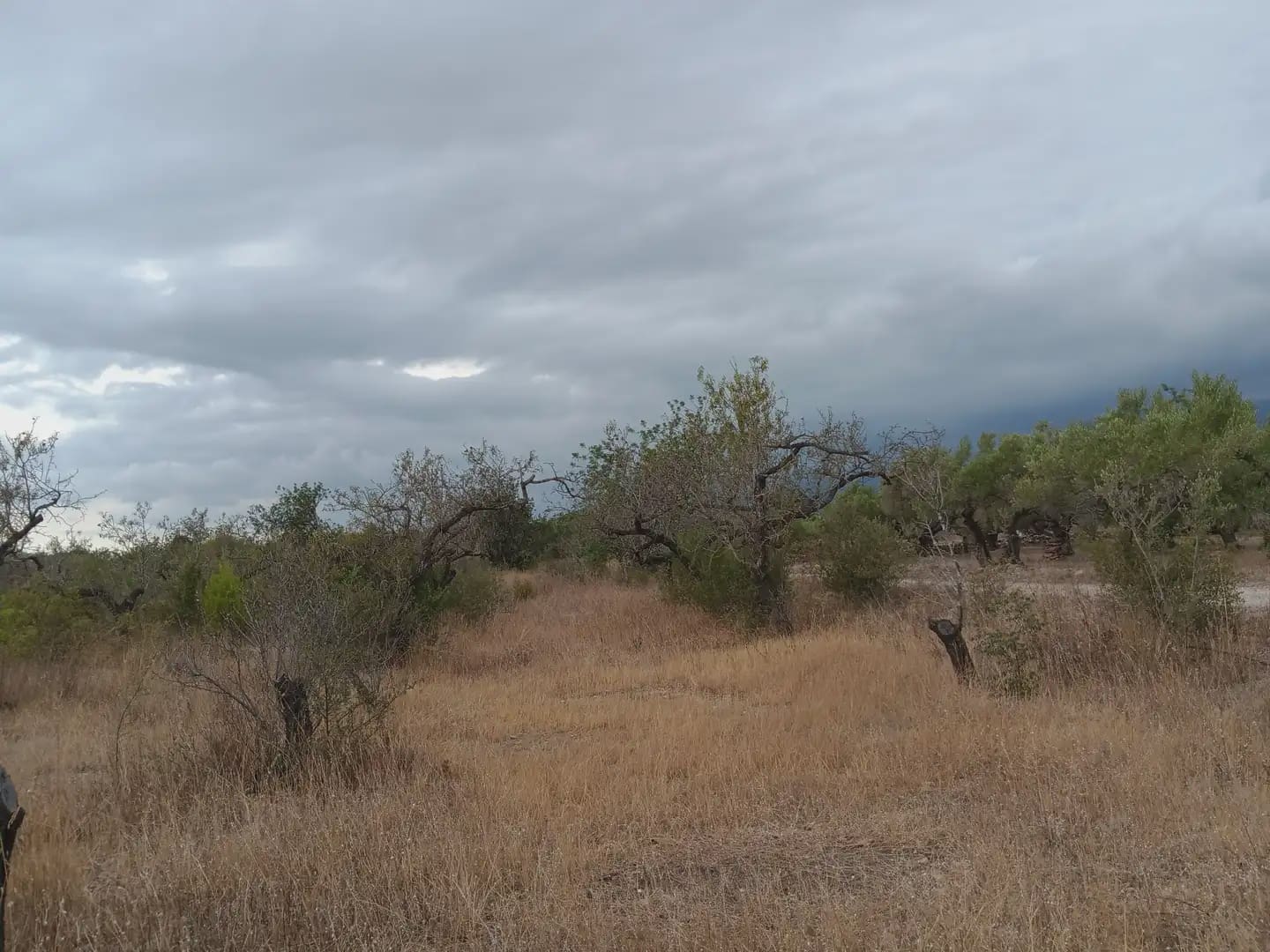 Terrain à Bâtir à vendre à Roquetes - 27 000 € (Ref: 10024537)