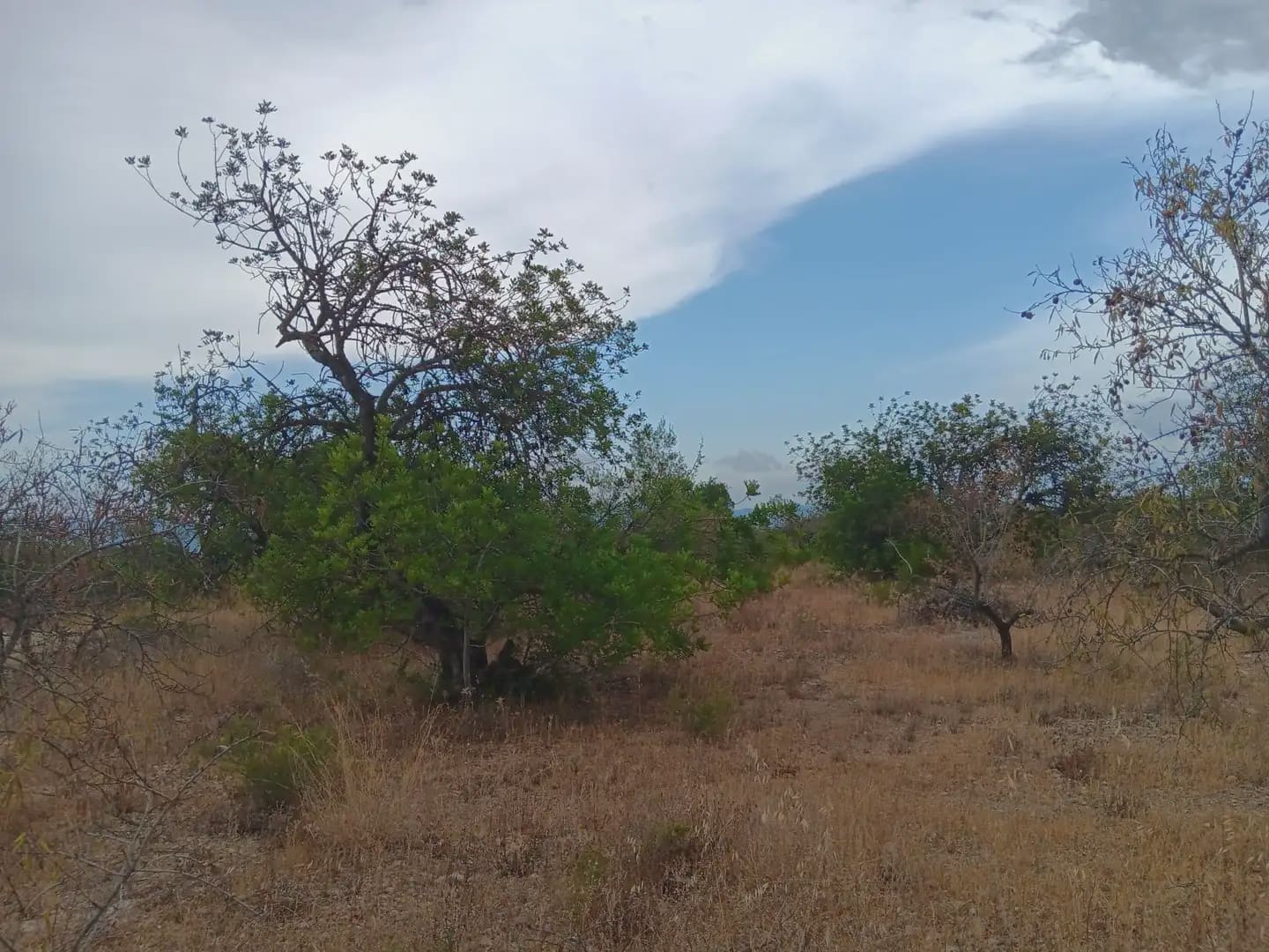 Terrain à Bâtir à vendre à Roquetes - 27 000 € (Ref: 10024537)