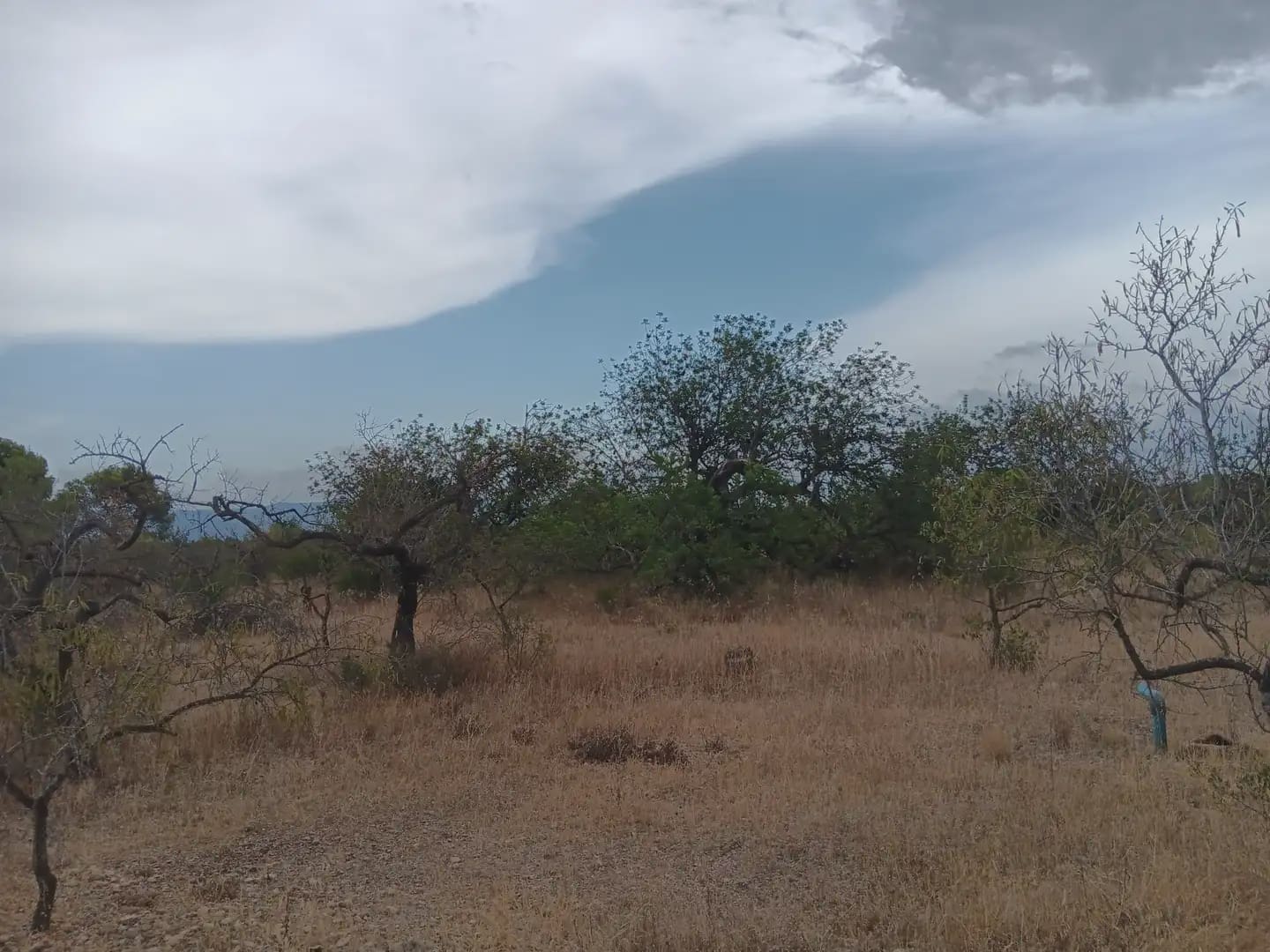 Terrain à Bâtir à vendre à Roquetes - 27 000 € (Ref: 10024537)