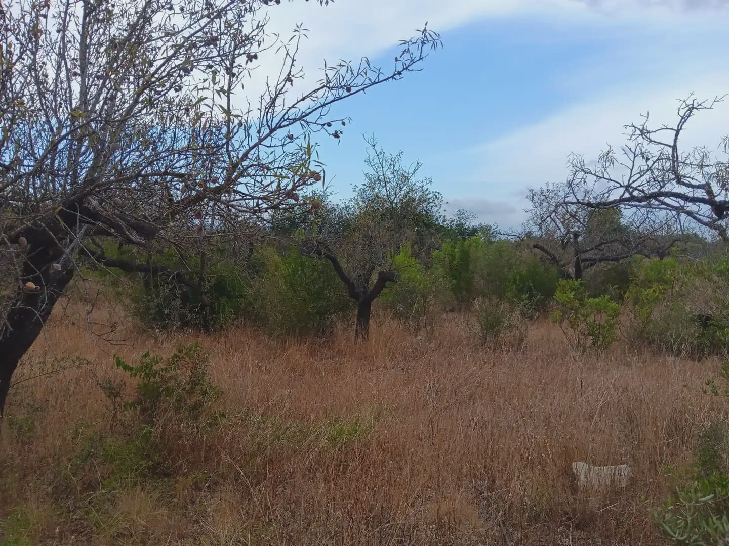 Terrain à Bâtir à vendre à Roquetes - 27 000 € (Ref: 10024537)