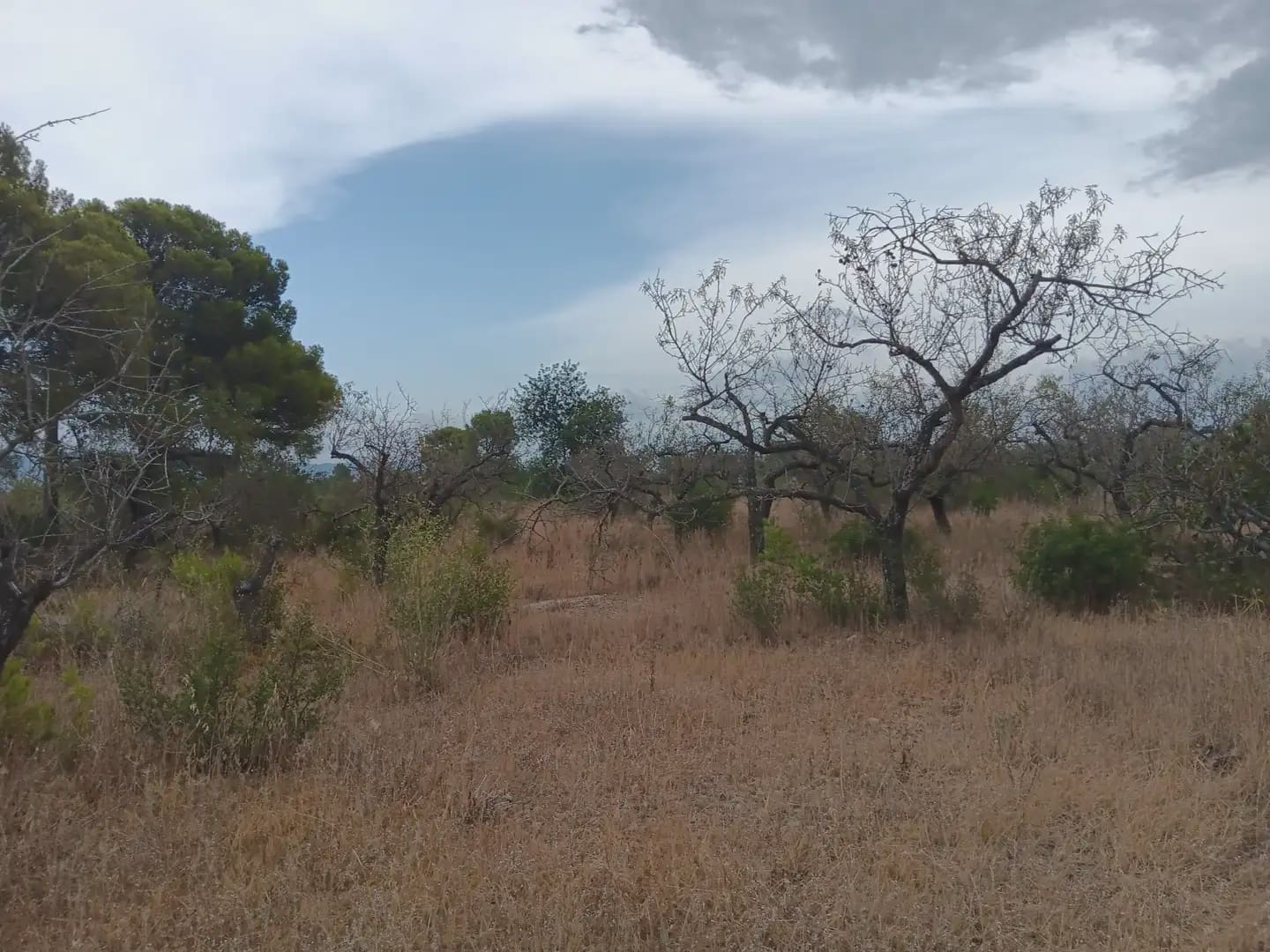 Terrain à Bâtir à vendre à Roquetes - 27 000 € (Ref: 10024537)
