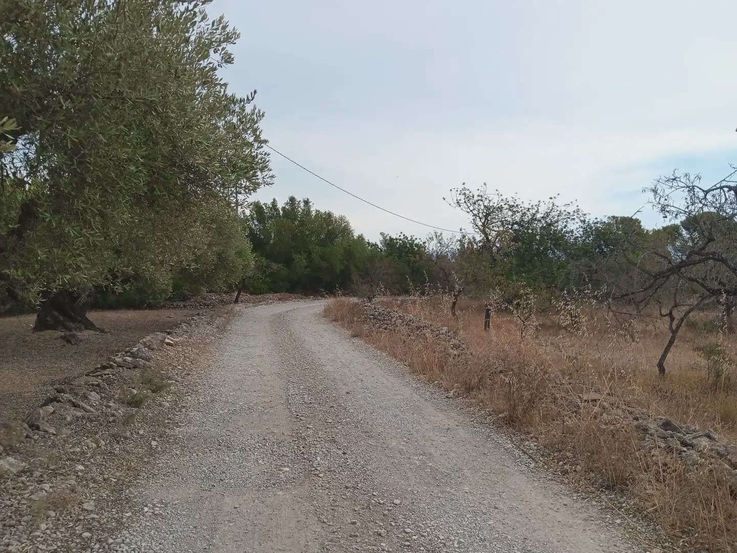 Terrain à Bâtir à vendre à Roquetes - 27 000 € (Ref: 10024537)