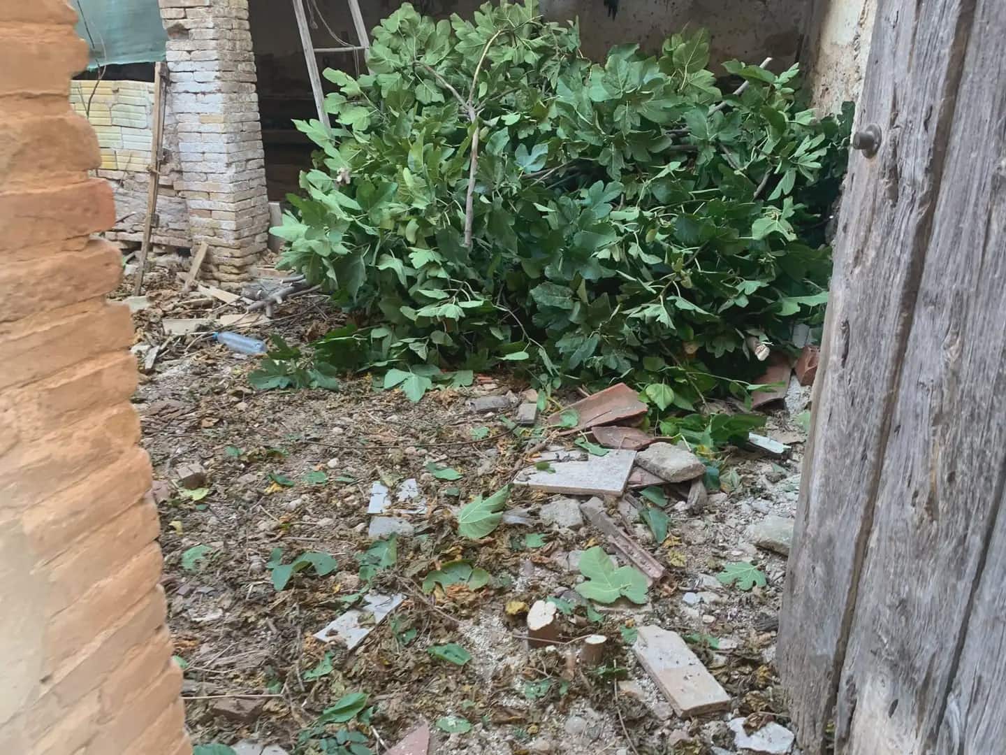 Building Plot for sale in Roquetes - € 17,000 (Ref: 10024538)