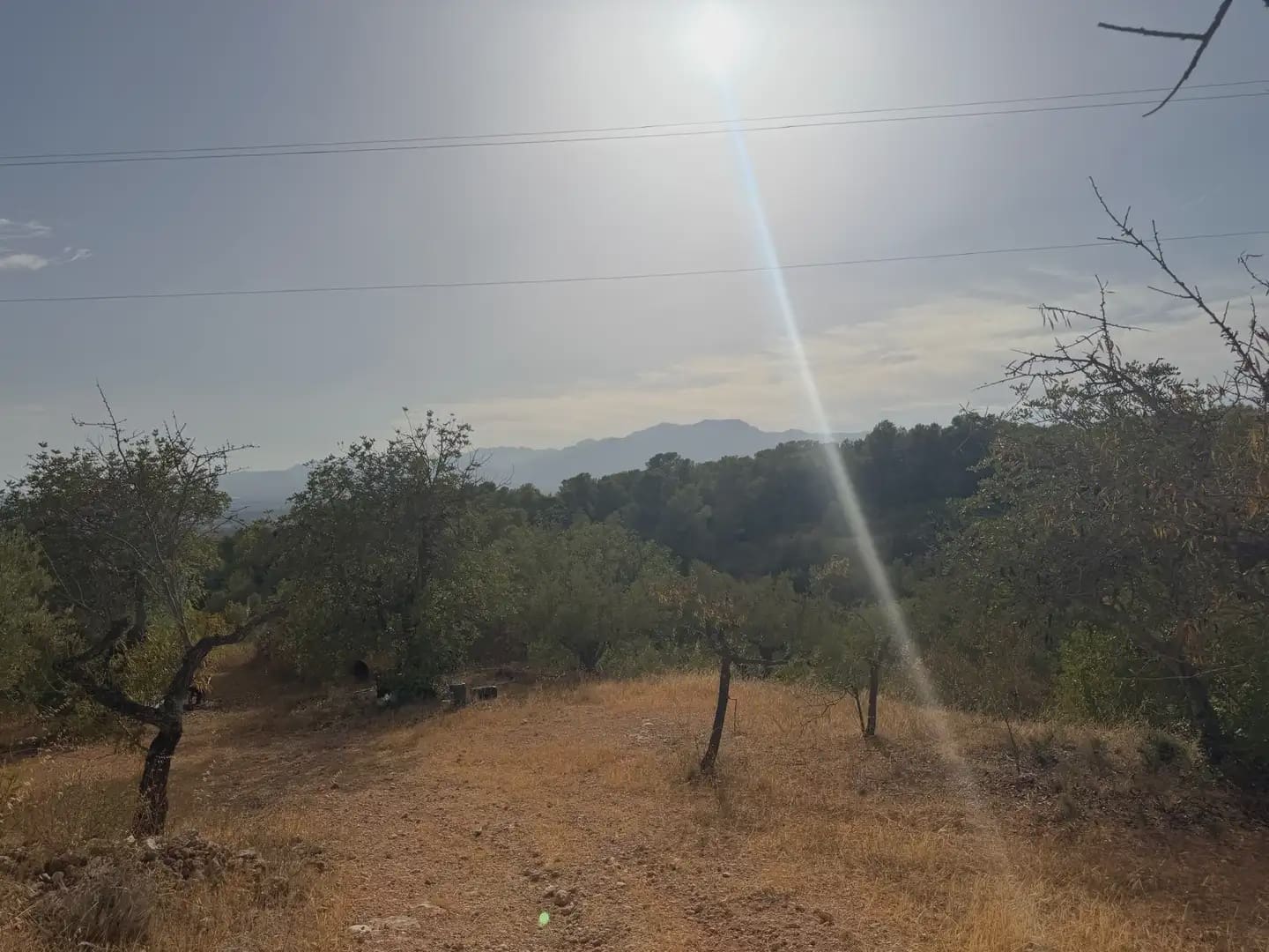 Terrain à Bâtir à vendre à Tortosa - 34 000 € (Ref: 10034839)