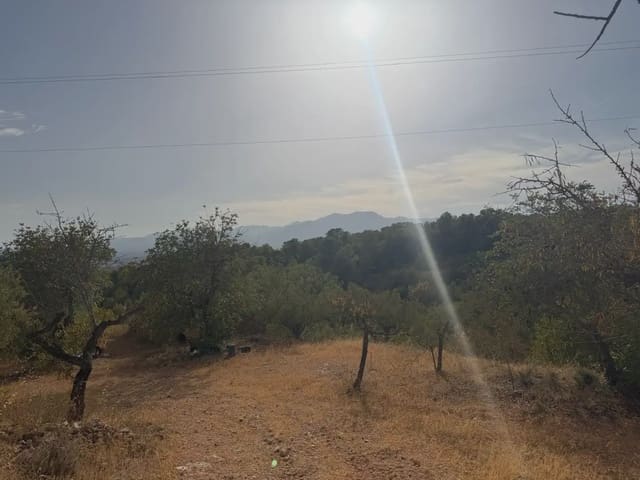 Terrain à Bâtir à vendre à Bitem, Tortosa - 34 000 € (Ref: 10034839)