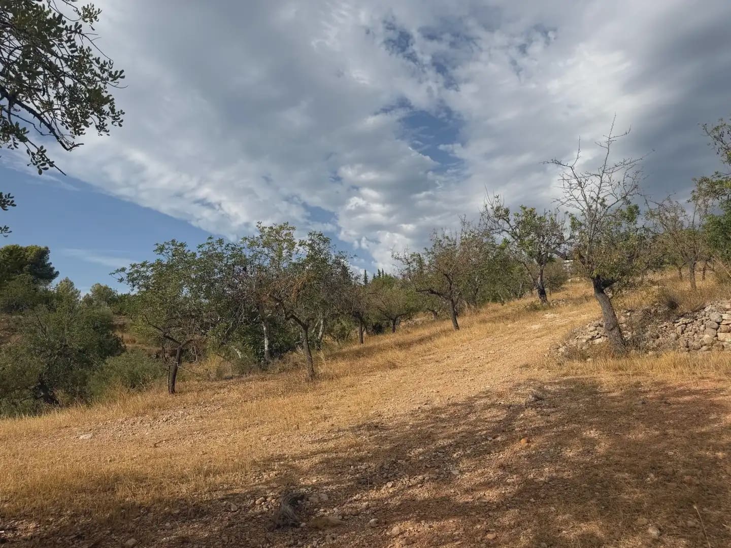 Terrain à Bâtir à vendre à Tortosa - 34 000 € (Ref: 10034839)