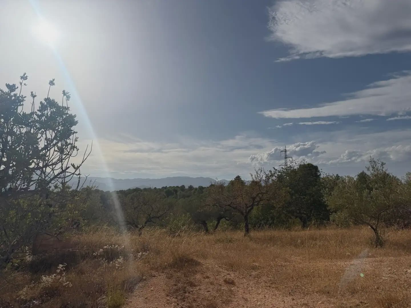 Terrain à Bâtir à vendre à Tortosa - 34 000 € (Ref: 10034839)