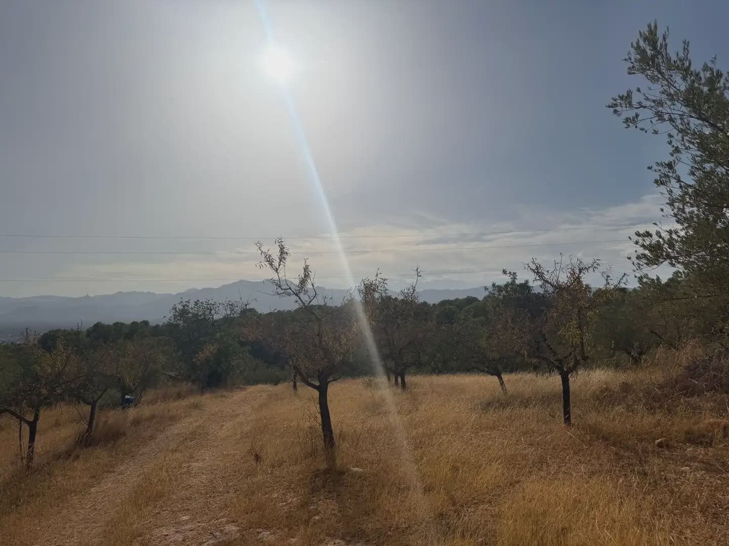 Terrain à Bâtir à vendre à Tortosa - 34 000 € (Ref: 10034839)