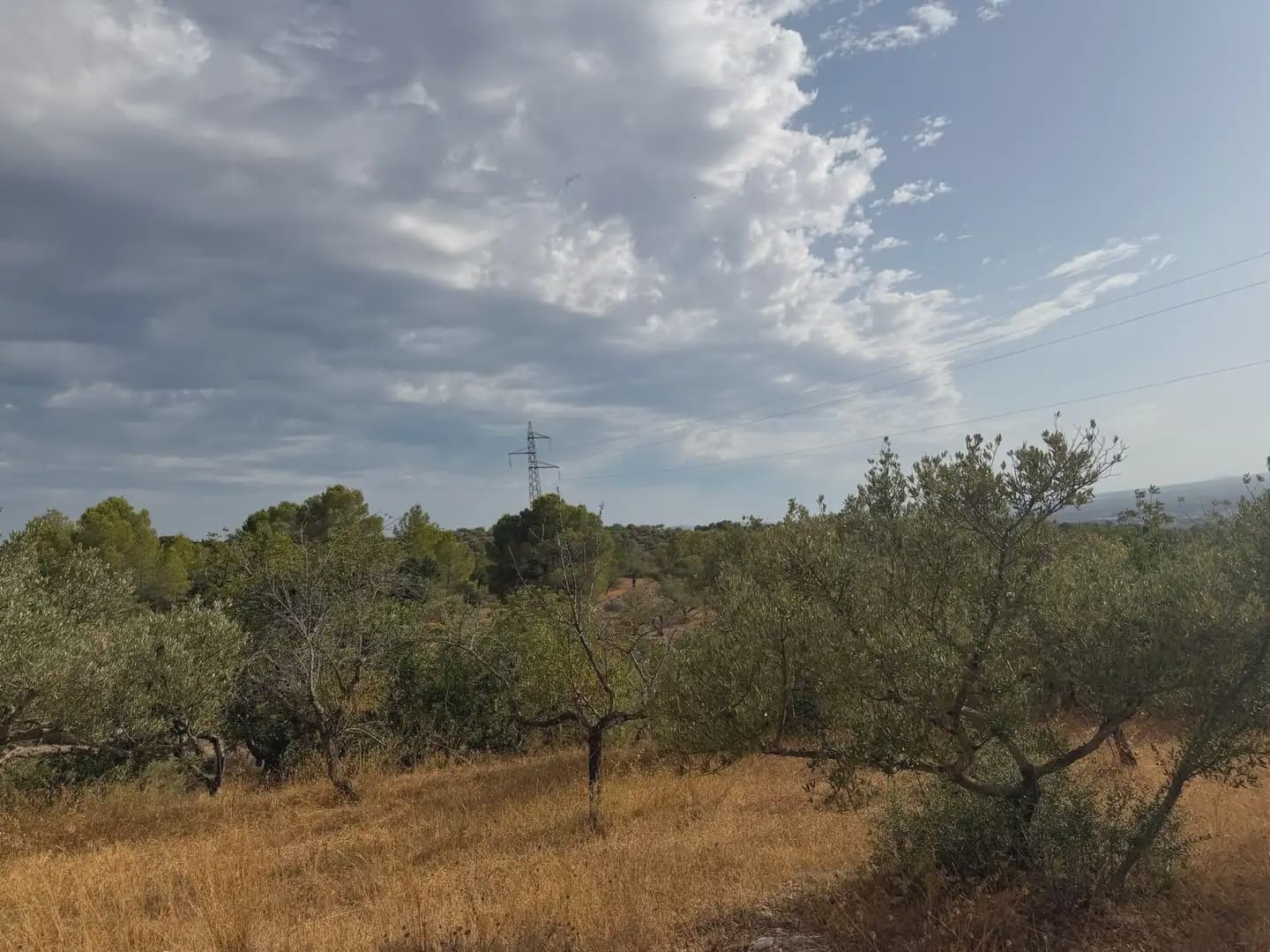 Terrain à Bâtir à vendre à Tortosa - 34 000 € (Ref: 10034839)