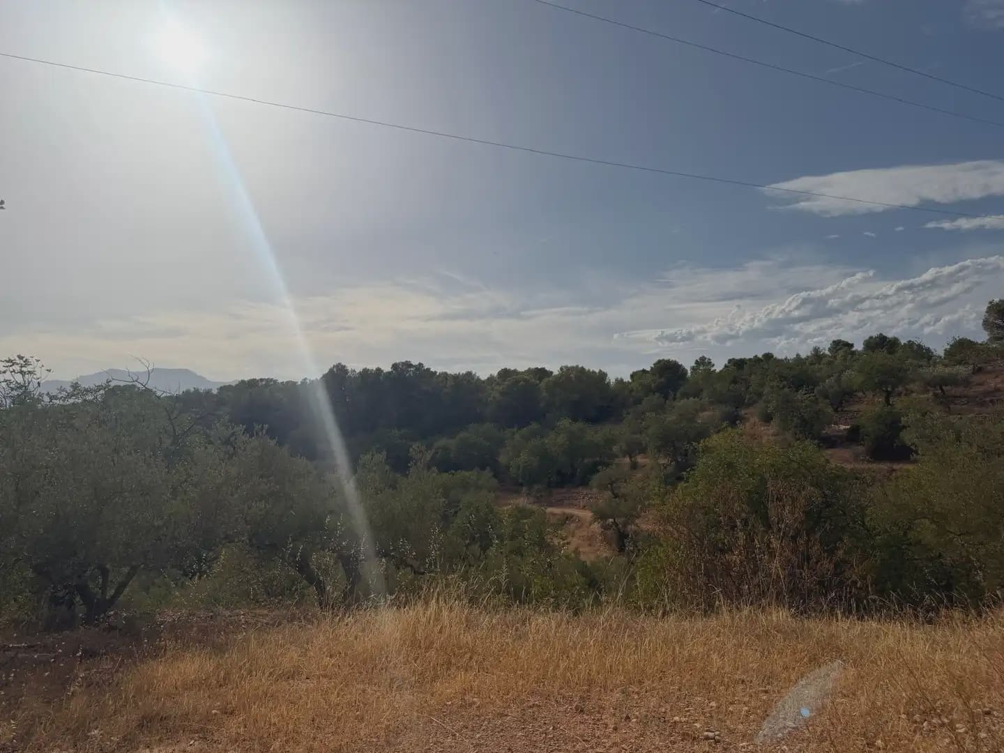 Terrain à Bâtir à vendre à Tortosa - 34 000 € (Ref: 10034839)