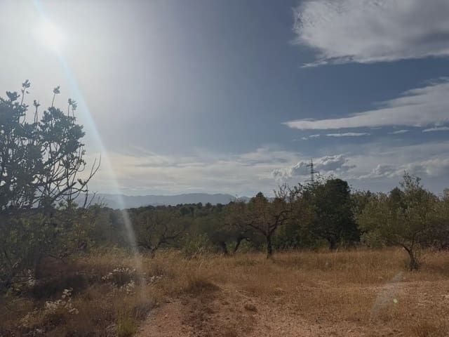 Terrain à Bâtir à vendre à Bitem, Tortosa - 34 000 € (Ref: 10034839)