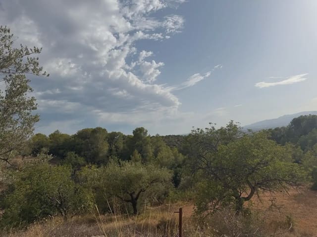 Terrain à Bâtir à vendre à Bitem, Tortosa - 34 000 € (Ref: 10034839)