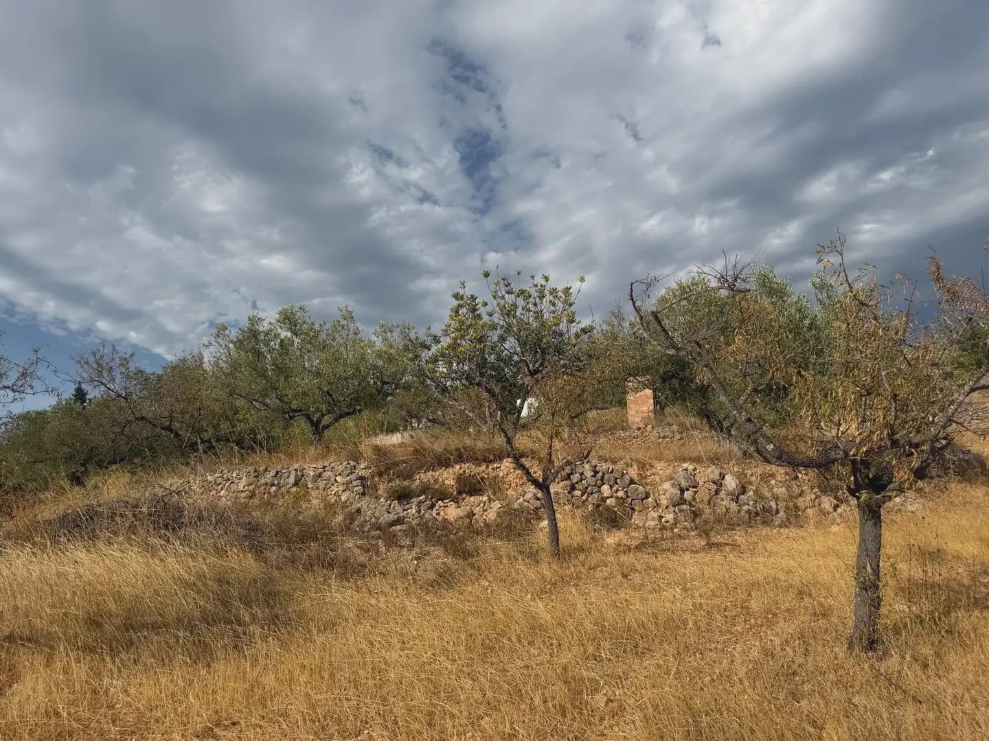 Terrain à Bâtir à vendre à Tortosa - 34 000 € (Ref: 10034839)
