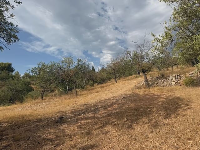 Terrain à Bâtir à vendre à Bitem, Tortosa - 34 000 € (Ref: 10034839)