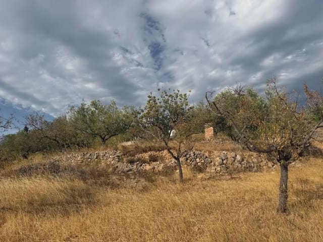 Terrain à Bâtir à vendre à Bitem, Tortosa - 34 000 € (Ref: 10034839)
