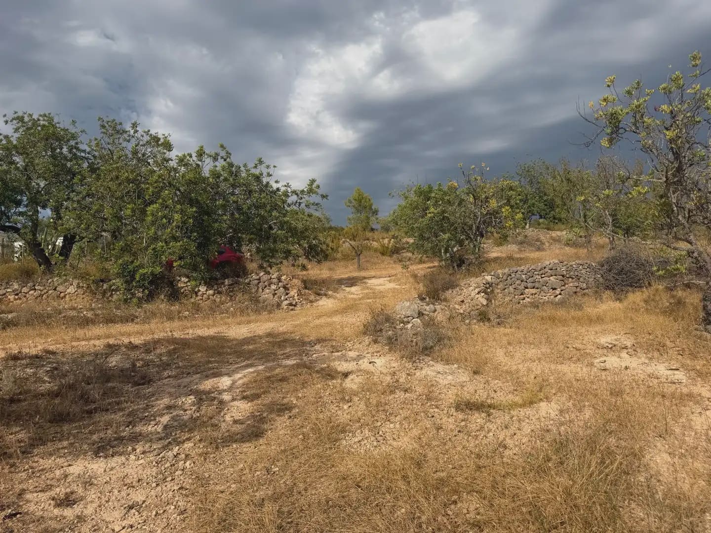 Terrain à Bâtir à vendre à Tortosa - 34 000 € (Ref: 10034839)