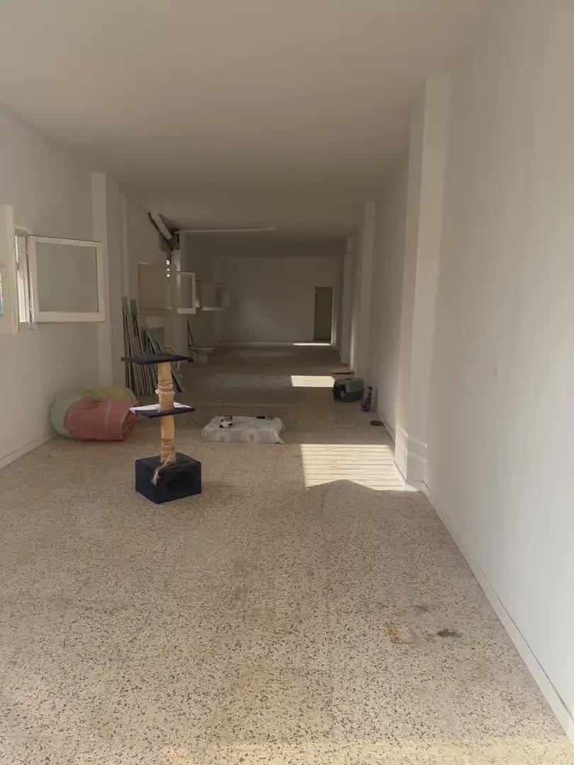2 sovrum Vind till salu i Sant Jaume d'Enveja - 46 000 € (Ref: 10062942)