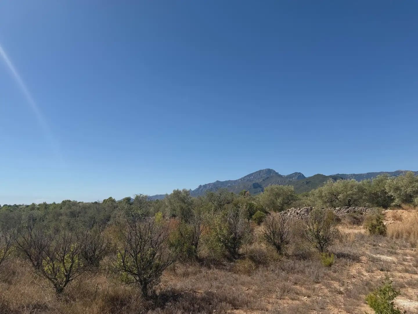 Building Plot for sale in Aldover - € 190,000 (Ref: 10071847)