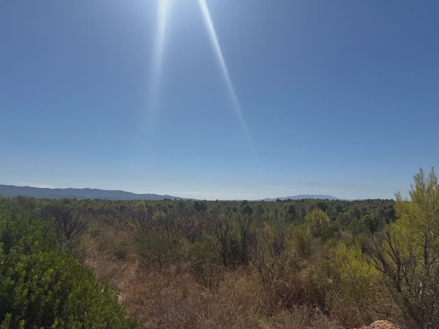 Building Plot for sale in Aldover - € 190,000 (Ref: 10071847)