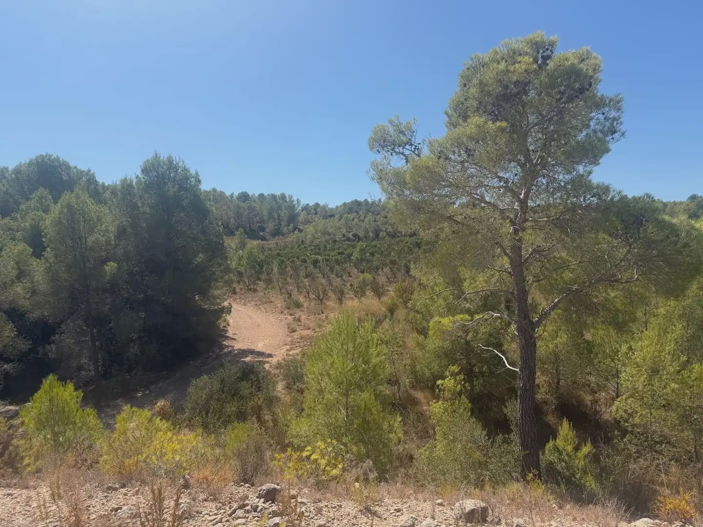 Building Plot for sale in Aldover - € 190,000 (Ref: 10071847)