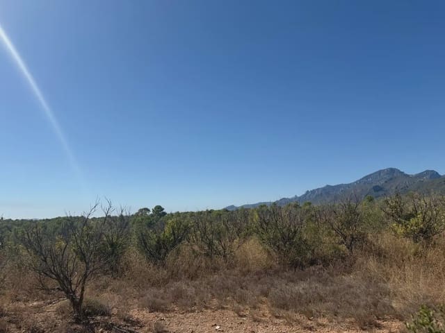 Building Plot for sale in Aldover - € 190,000 (Ref: 10071847)