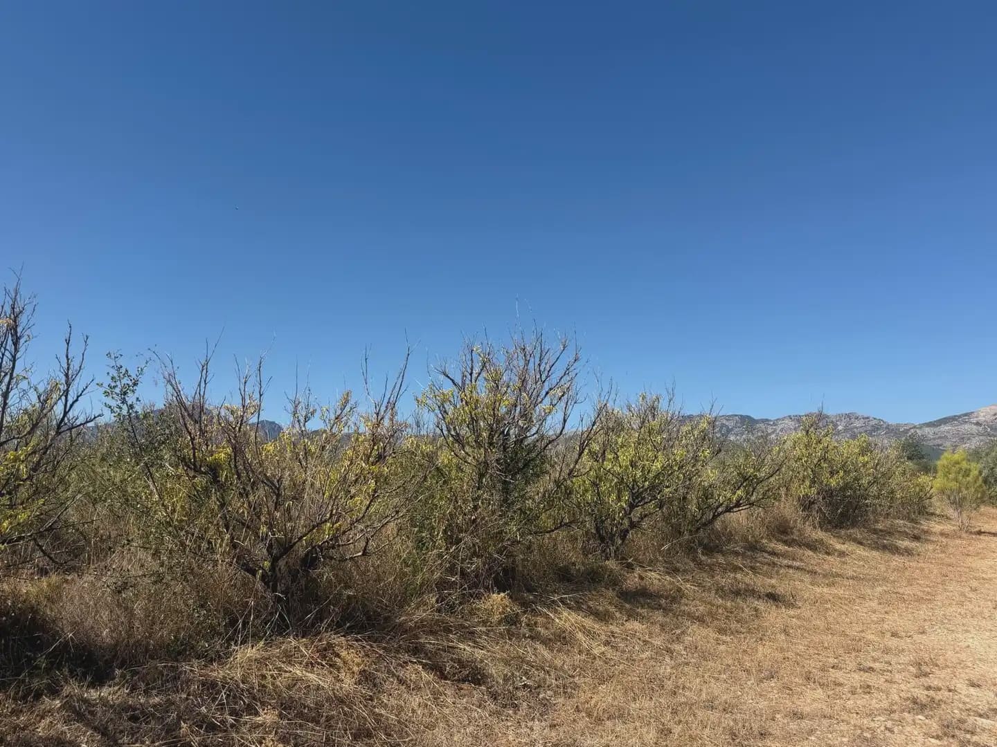 Building Plot for sale in Aldover - € 190,000 (Ref: 10071847)