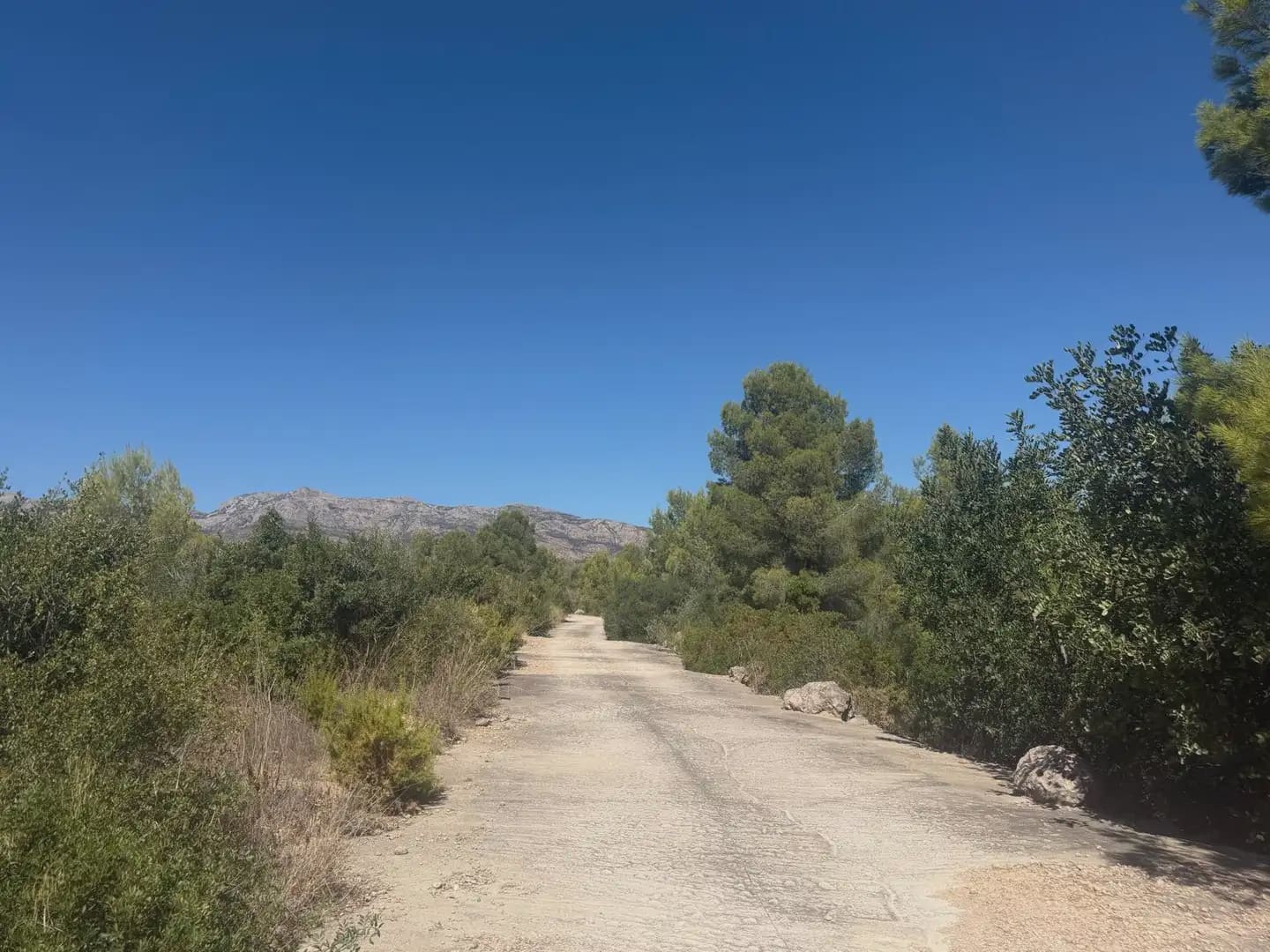 Building Plot for sale in Aldover - € 190,000 (Ref: 10071847)