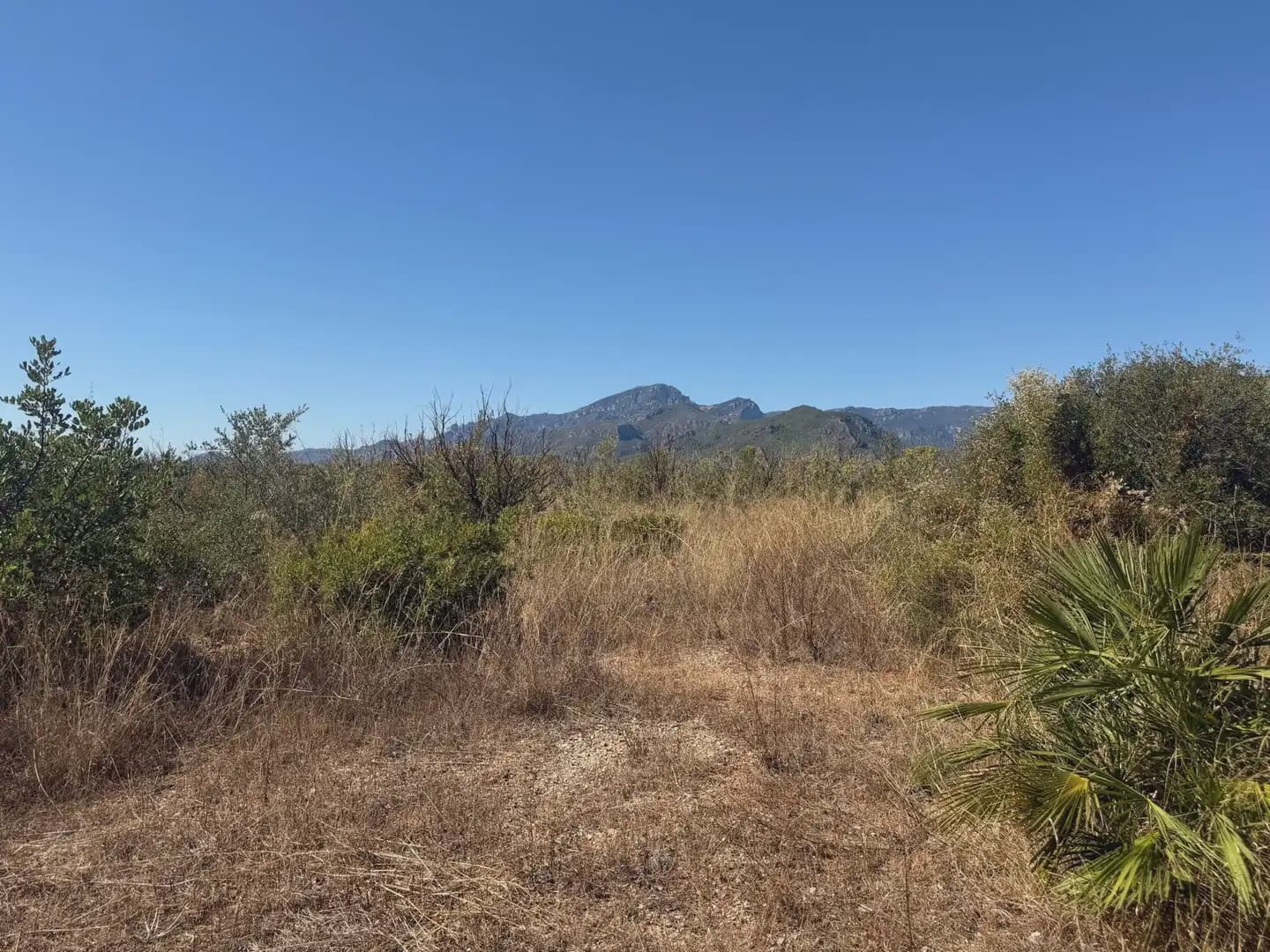 Building Plot for sale in Aldover - € 190,000 (Ref: 10071847)