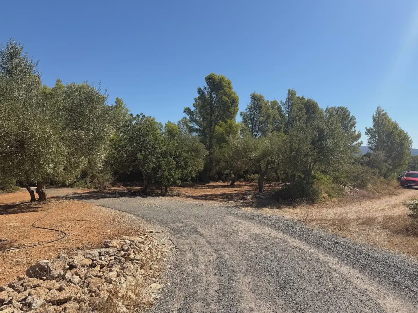 Building Plot for sale in Aldover - € 190,000 (Ref: 10071847)