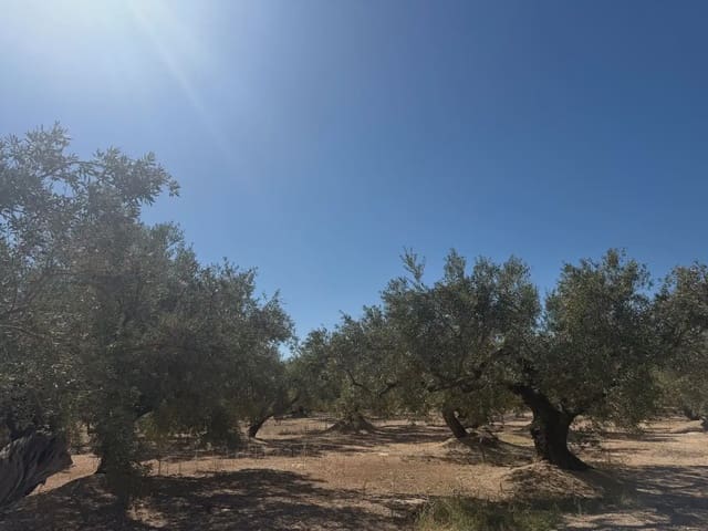 Bauplatz zu verkaufen in Roquetes - 73.000 € (Ref: 10090082)