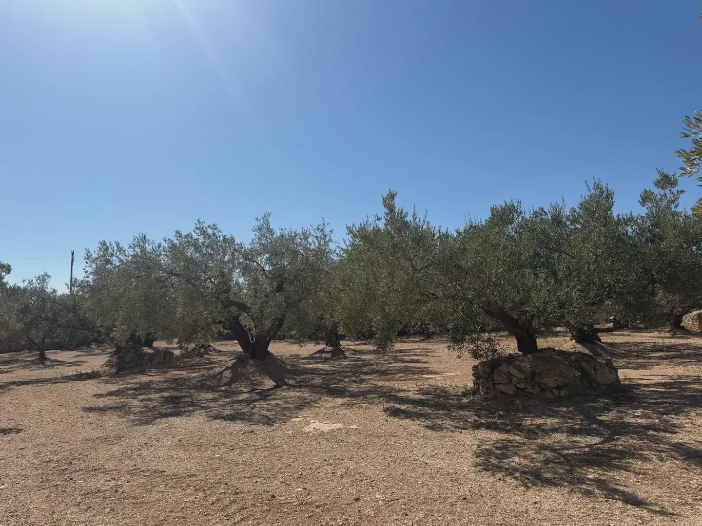 Bauplatz zu verkaufen in Roquetes - 73.000 € (Ref: 10090082)