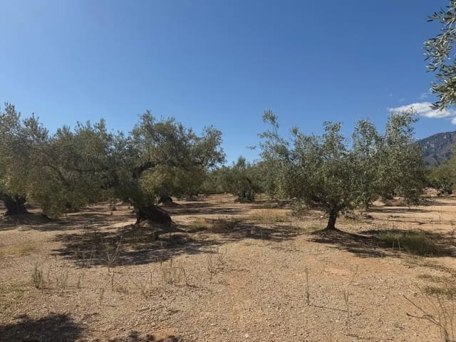 Bauplatz zu verkaufen in Roquetes - 73.000 € (Ref: 10090082)