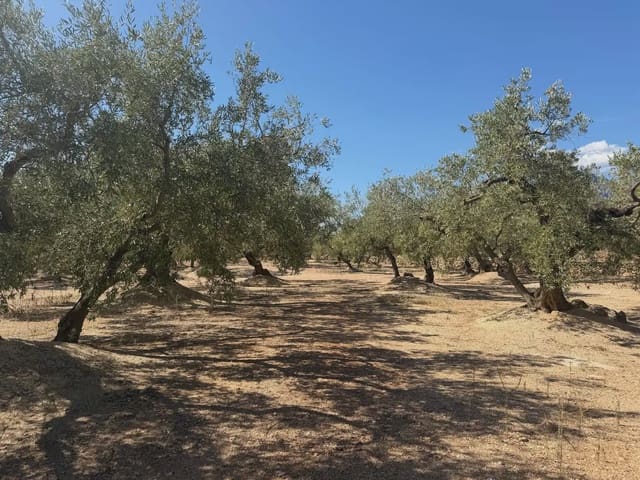 Bauplatz zu verkaufen in Roquetes - 73.000 € (Ref: 10090082)