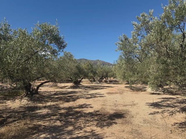 Bauplatz zu verkaufen in Roquetes - 73.000 € (Ref: 10090082)