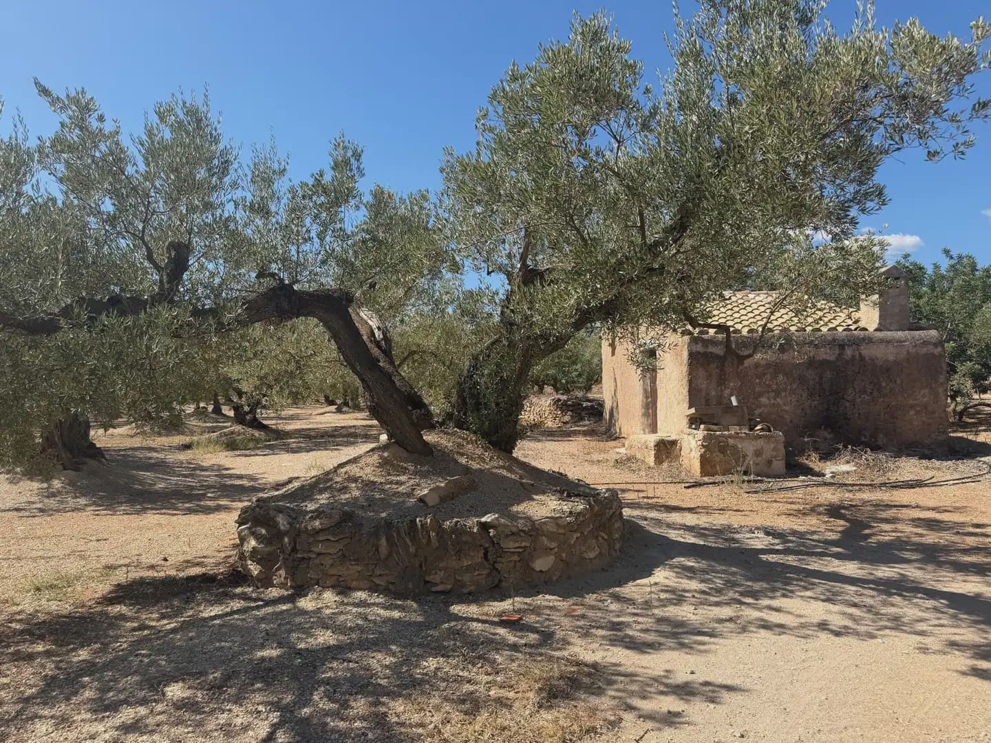 Bauplatz zu verkaufen in Roquetes - 73.000 € (Ref: 10090082)